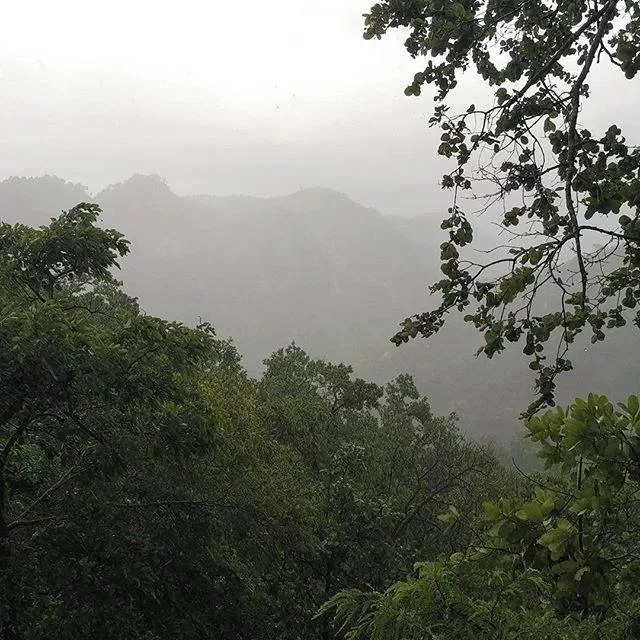 Photo of Pachmarhi, Madhya Pradesh, India by Social Butterfly