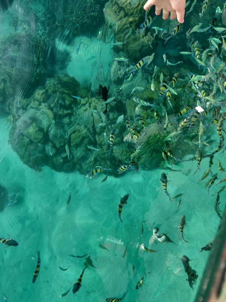 Photo of Lakshadweep, India by prerna prakash