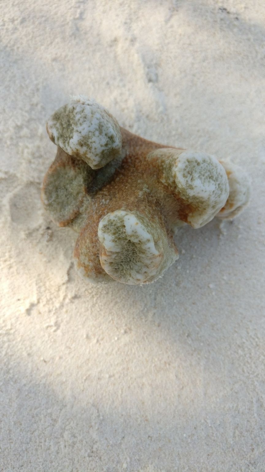 Photo of Lakshadweep, India by prerna prakash