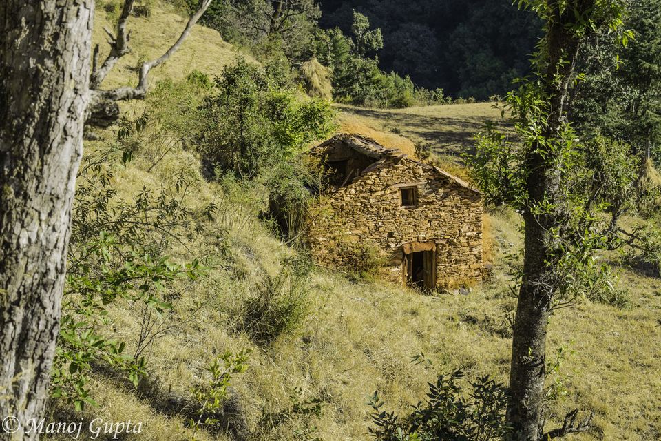 Photo of Pangot - Place in peace 15/22 by Manoj Gupta