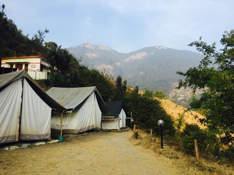 Photo of Pangot - Place in peace 19/22 by Manoj Gupta
