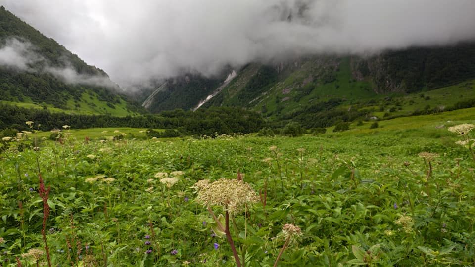 Photo of Valley of Flowers National Park, Uttarakhand, India by Kumar Rahul