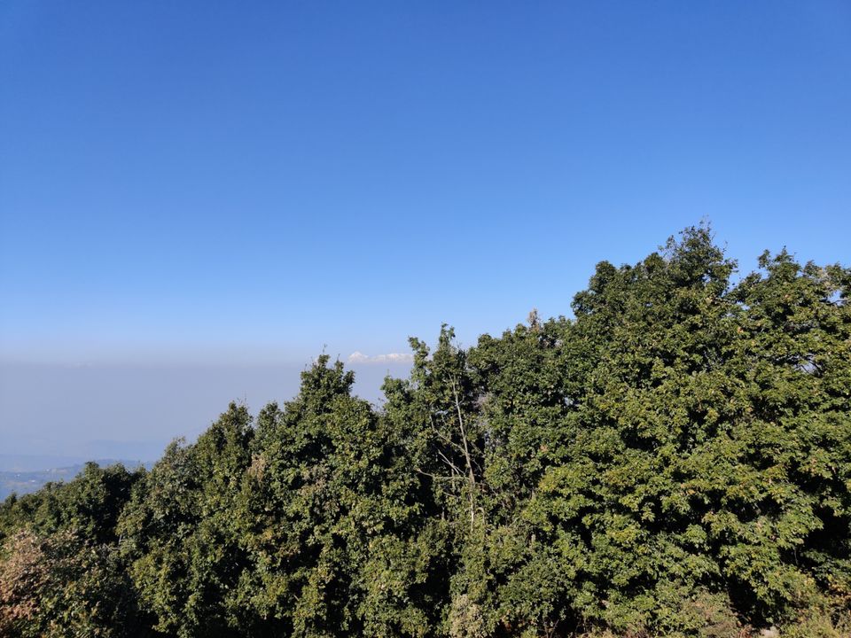 Photo of Chauli Ki Jali, Darima, Uttarakhand by Musafir Unchained