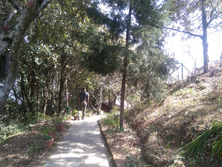 Photo of Mukteshwar, Uttarakhand, India by Niraj Gandhi