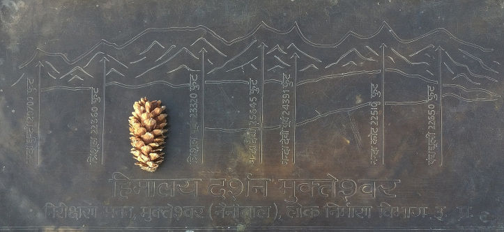 Photo of Mukteshwar, Uttarakhand by Niraj Gandhi
