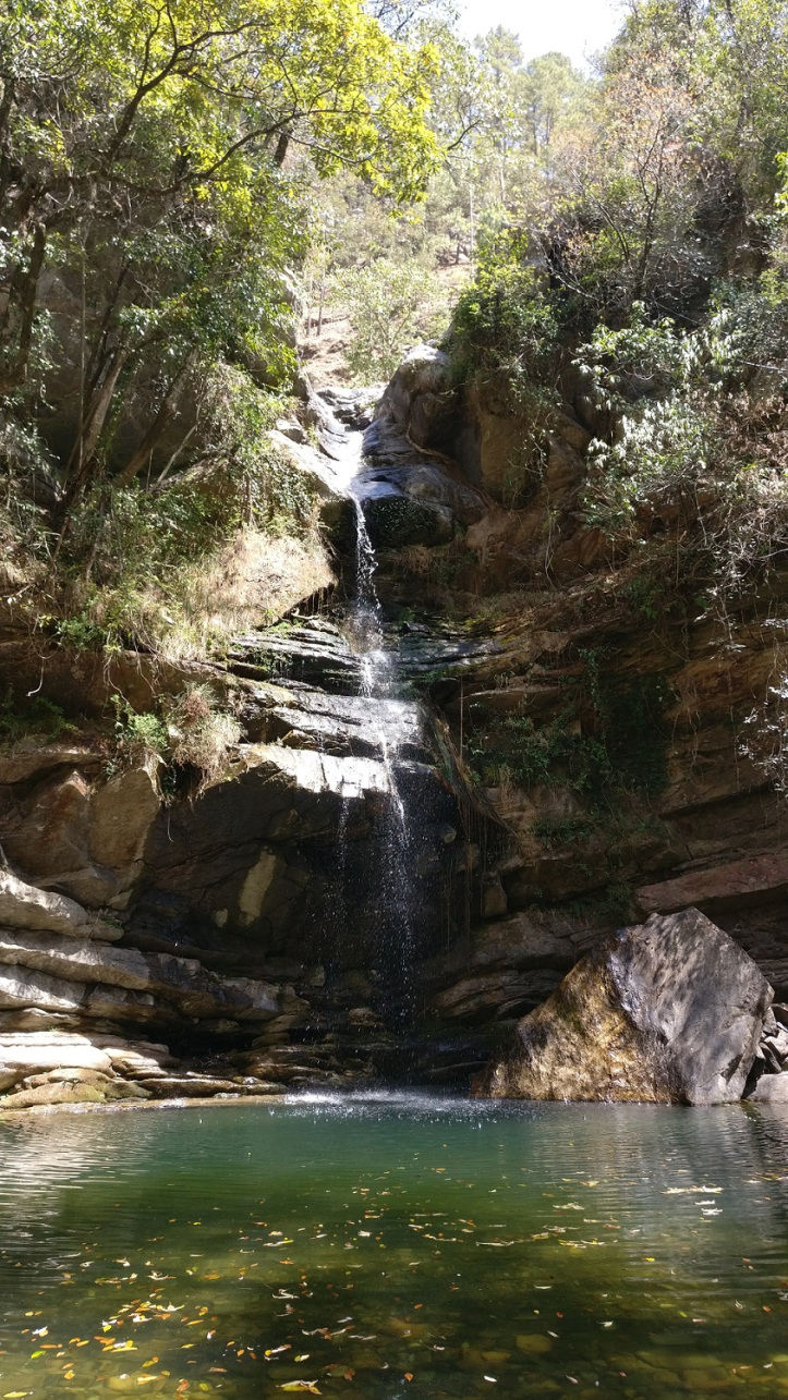 Photo of Mukteshwar, Uttarakhand by Niraj Gandhi