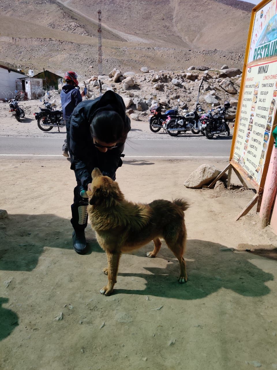 Photo of This is how we experienced Ladakh by Stayin.Pawsitive