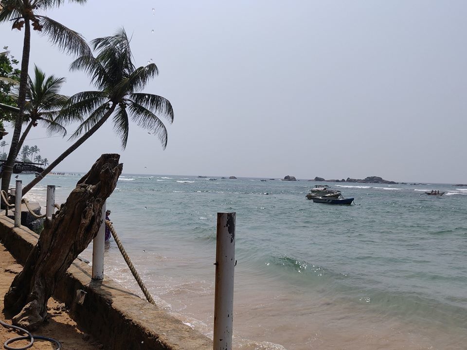 Photo of Start the New Year in serene Sri Lanka by Stayin.Pawsitive