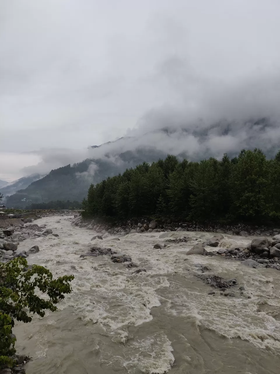 Photo of Manali, Himachal Pradesh, India by Stayin.Pawsitive