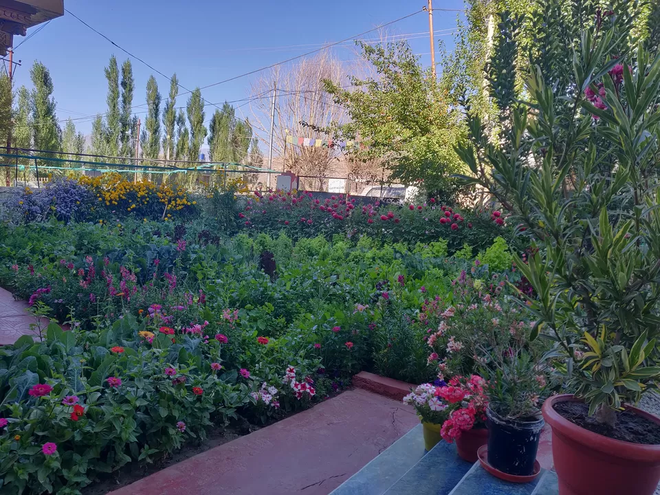 Photo of Leh by Stayin.Pawsitive