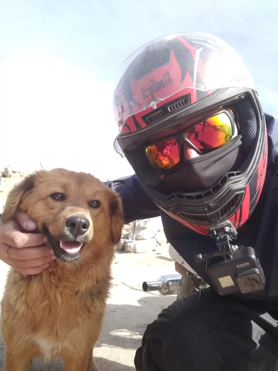 Photo of A complete guide to plan your Ladakh Trip by Stayin.Pawsitive