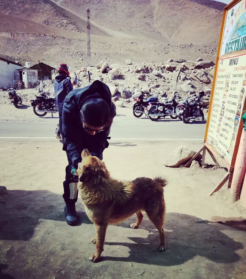 Photo of A complete guide to plan your Ladakh Trip by Stayin.Pawsitive