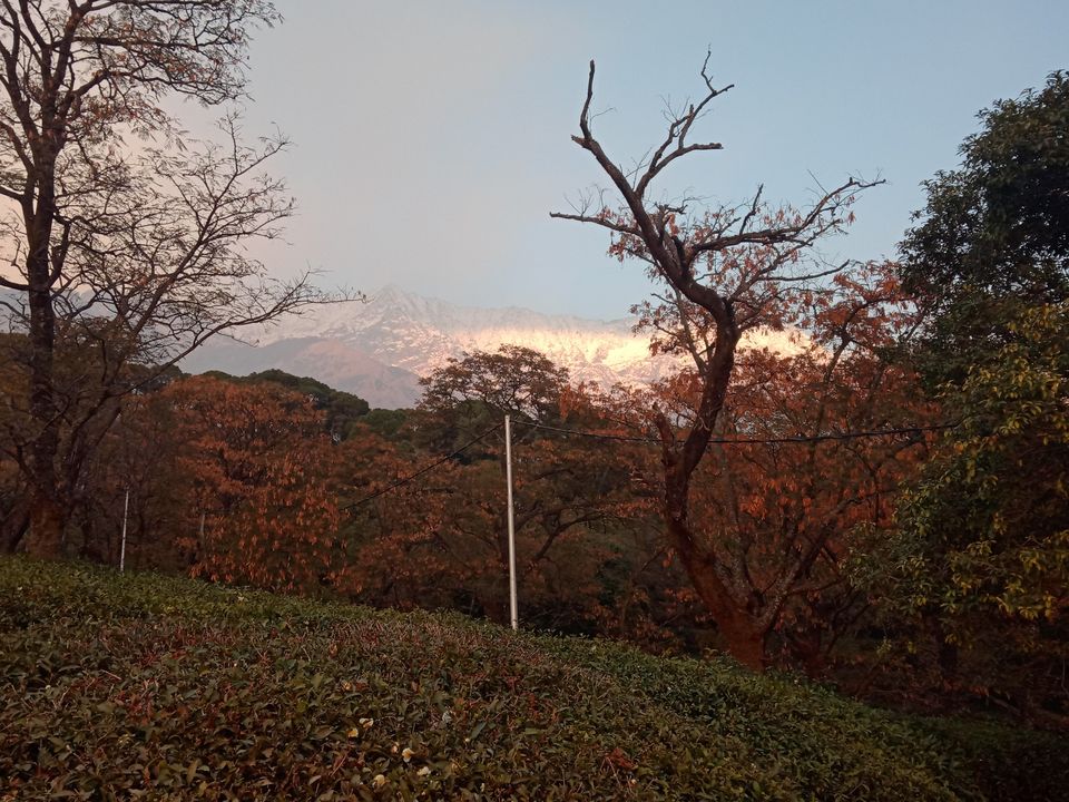 Photo of Dharamshala, Himachal Pradesh, India by Gauri Raghuwanshi