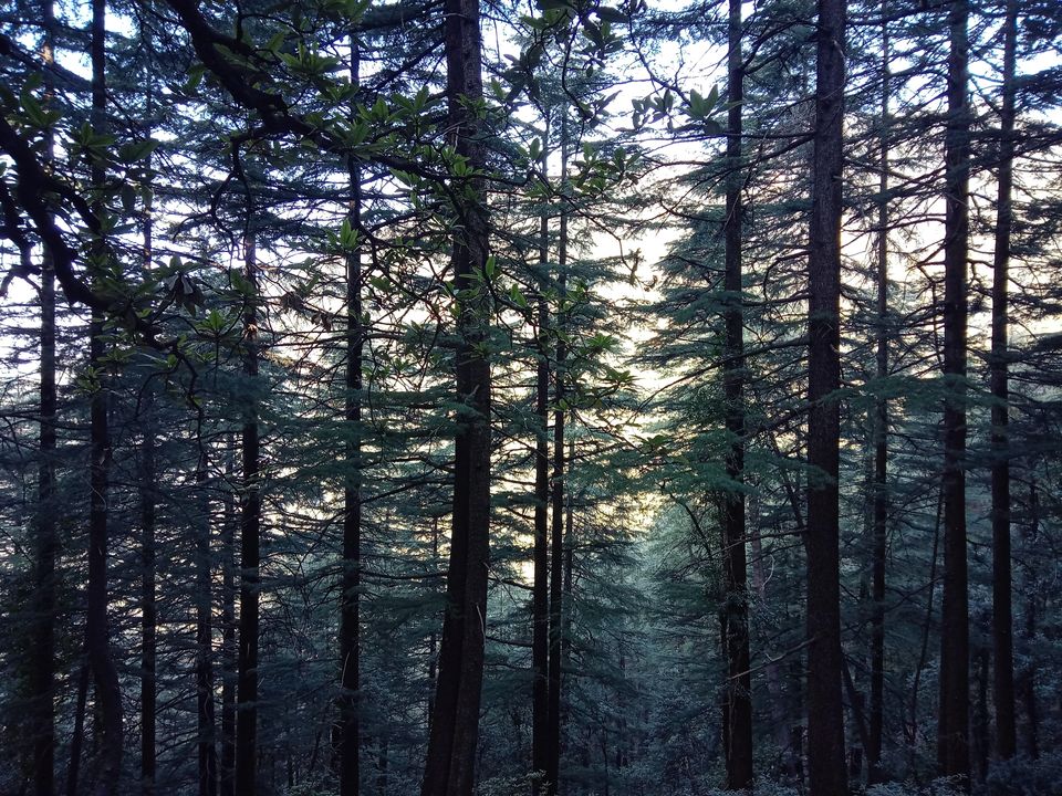Photo of McLeod Ganj, Dharamshala, Himachal Pradesh, India by Gauri Raghuwanshi