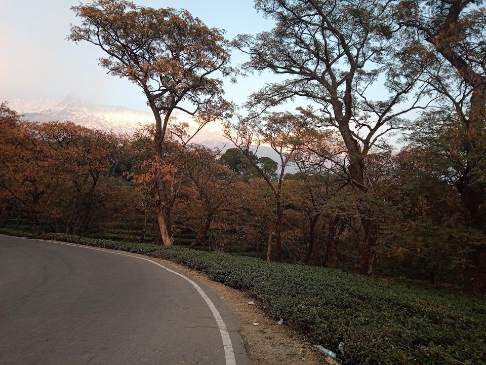Photo of Don't ruin, make it Memorable! 5/6 by Gauri Raghuwanshi