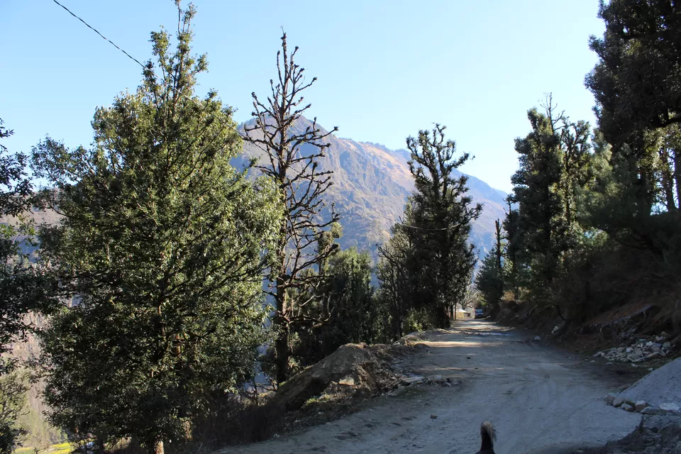 Photo of Kedarkantha Trek - My First Himalayan Expedition by Ranjani Surashastry