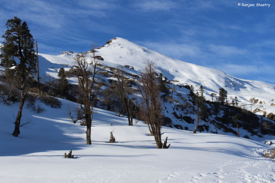 Photo of Kedarkantha Trek - My First Himalayan Expedition 2/2 by Ranjani Surashastry