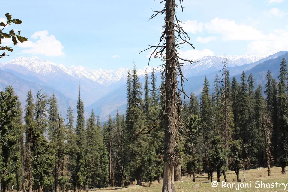 Photo of Kedarkantha Trek - My First Himalayan Expedition by Ranjani Surashastry