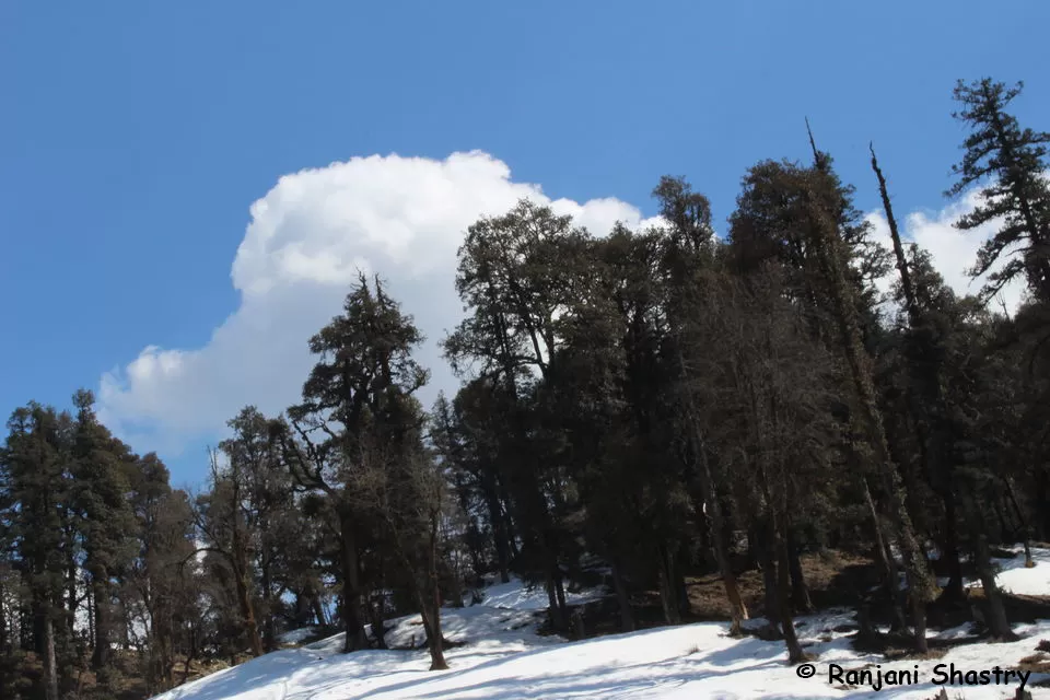 Photo of Kedarkantha Base Camp, Singtur Range, Uttarakhand, India by Ranjani Surashastry