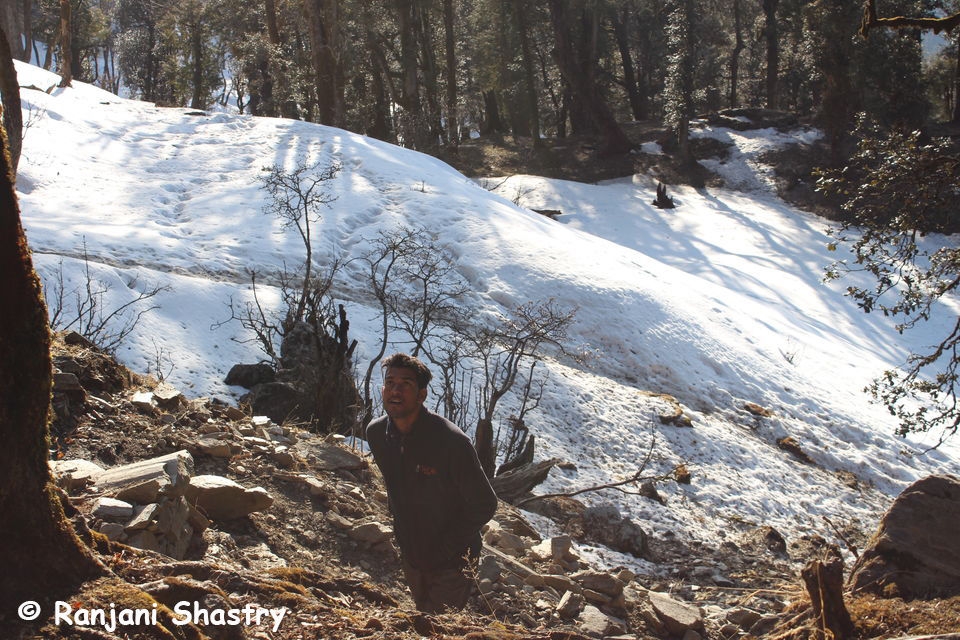 Photo of Kedarkantha Base Camp, Singtur Range, Uttarakhand, India by Ranjani Surashastry