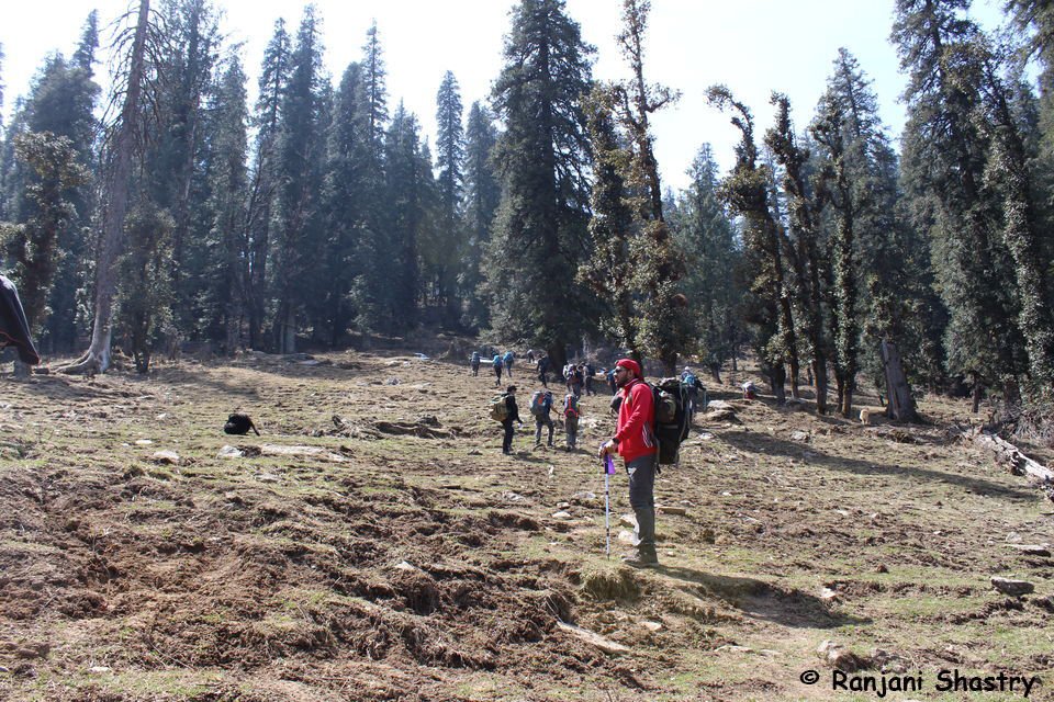 Photo of Kedarkantha Trek - My First Himalayan Expedition by Ranjani Surashastry