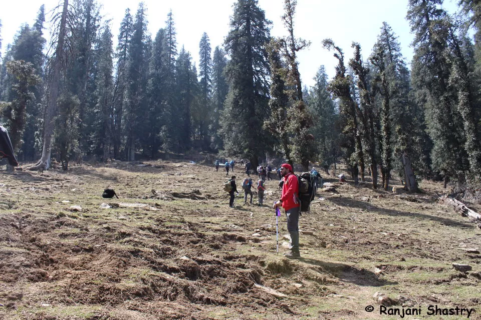 Photo of Kedarkantha Trek - My First Himalayan Expedition by Ranjani Surashastry