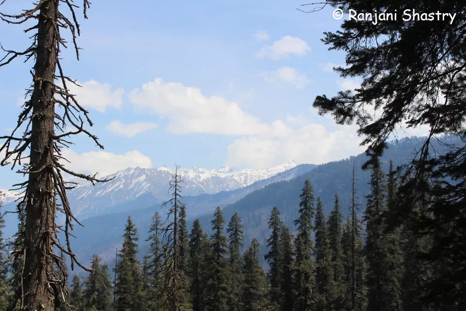 Photo of Kedarkantha Trek - My First Himalayan Expedition by Ranjani Surashastry
