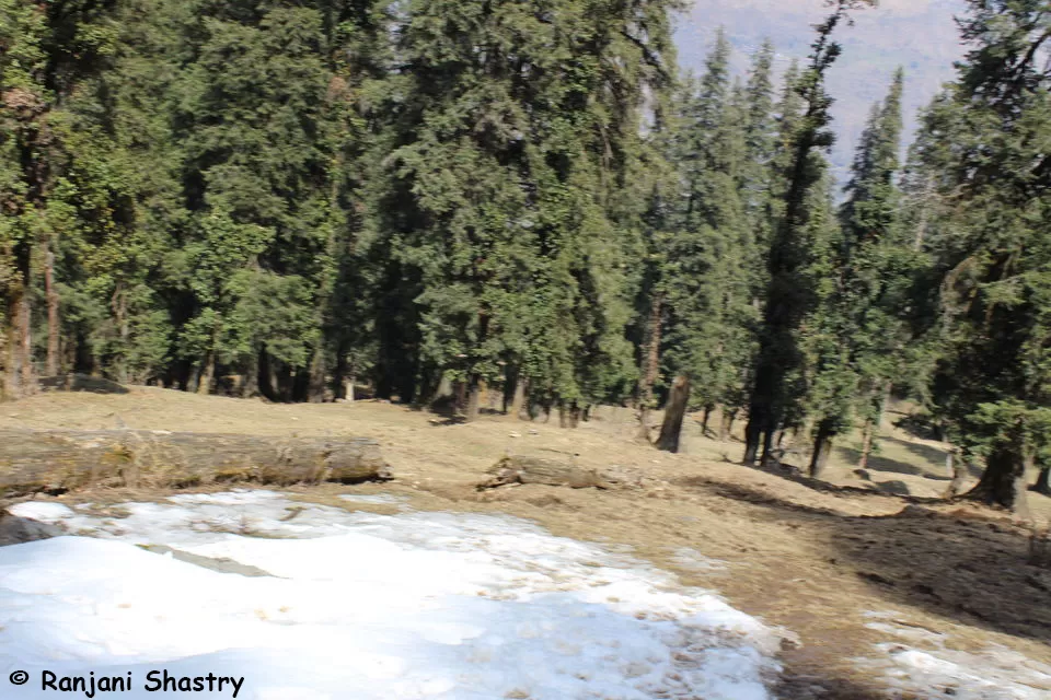 Photo of Kedarkantha Trek - My First Himalayan Expedition by Ranjani Surashastry