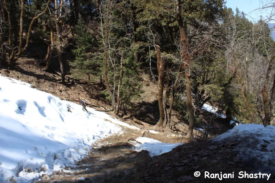 Photo of Kedarkantha Trek - My First Himalayan Expedition by Ranjani Surashastry