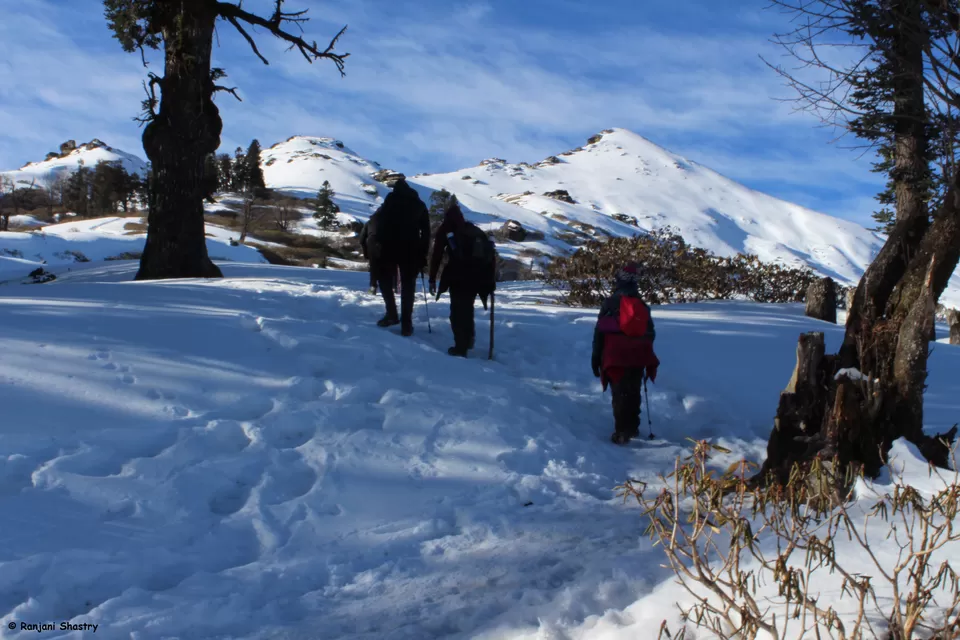 Photo of Kedarkantha Summit, Bandiyar, Uttarakhand, India by Ranjani Surashastry