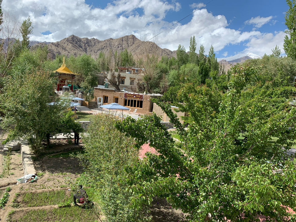 Photo of Let Yourself Get LEH’d In The Mountains!! by Preeti Kumari