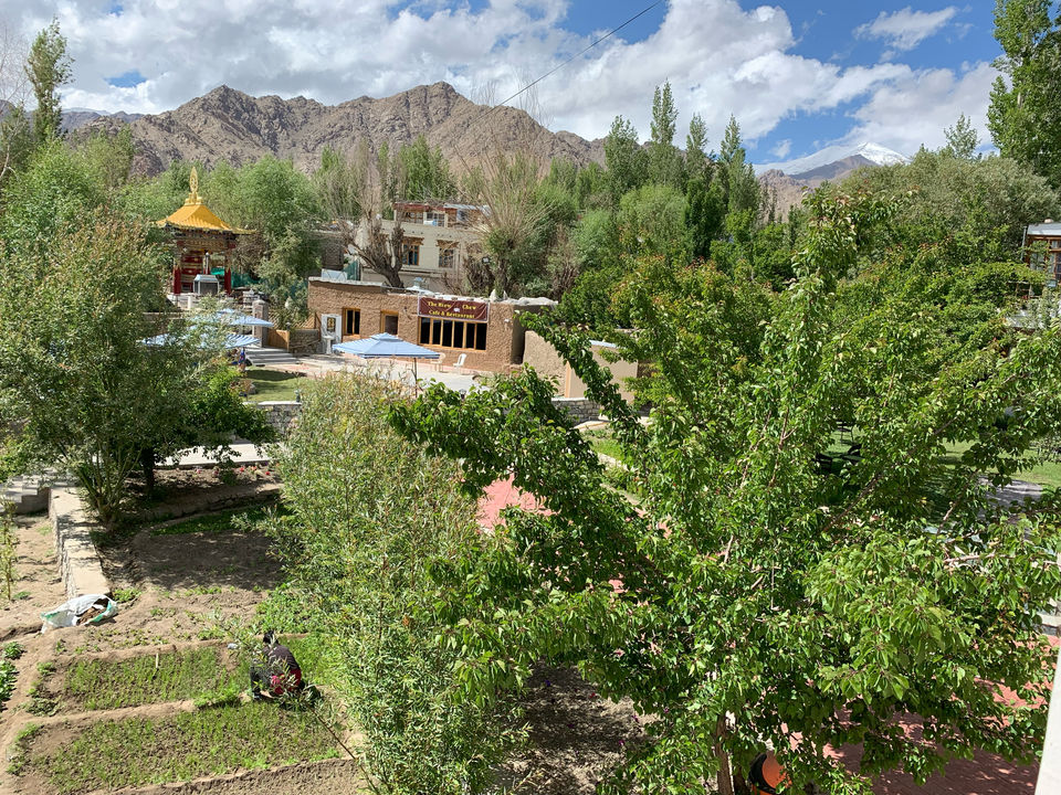 Photo of Let Yourself Get LEH’d In The Mountains!! by Preeti Kumari