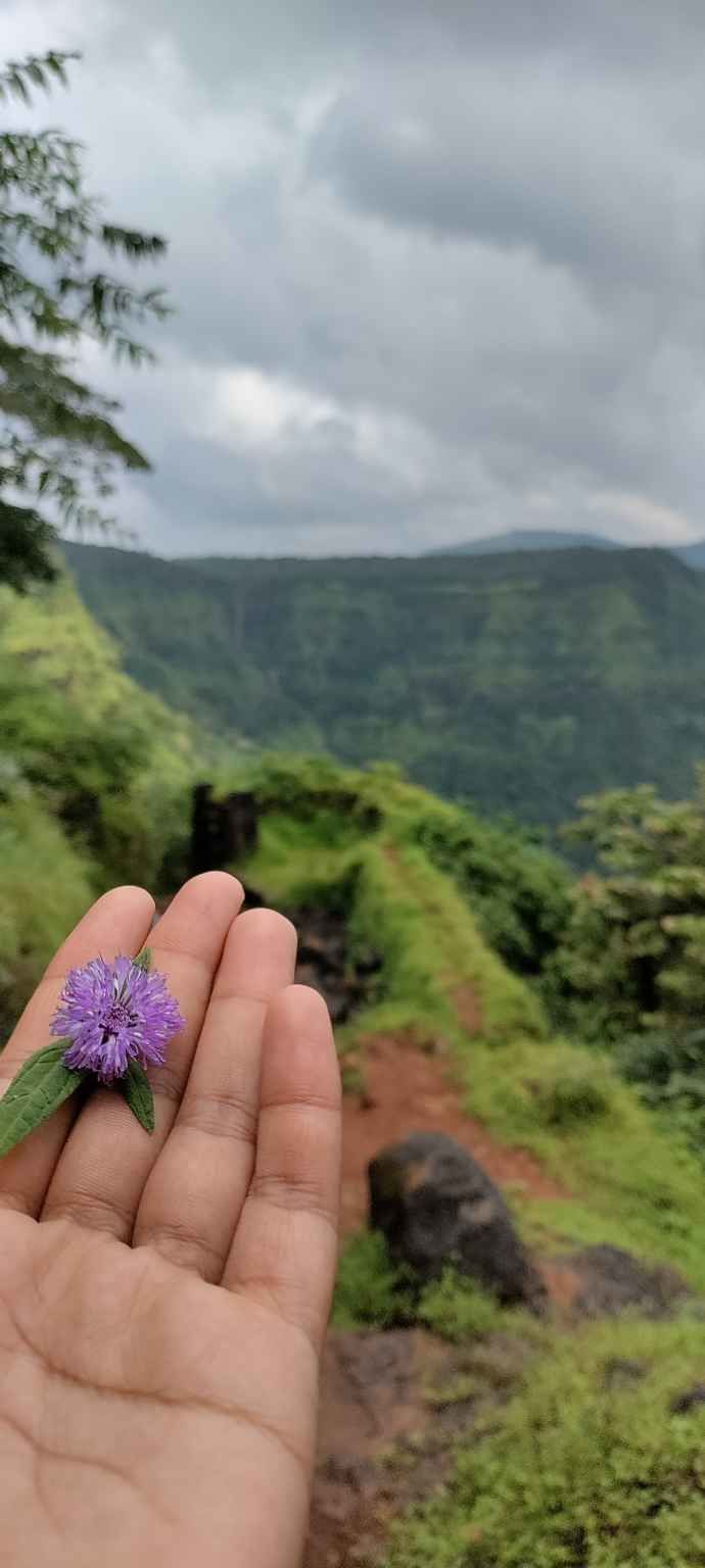 Photo of Rangnagad Base Point, Unnamed Road, Narur, Maharashtra, India by Manju Gawde