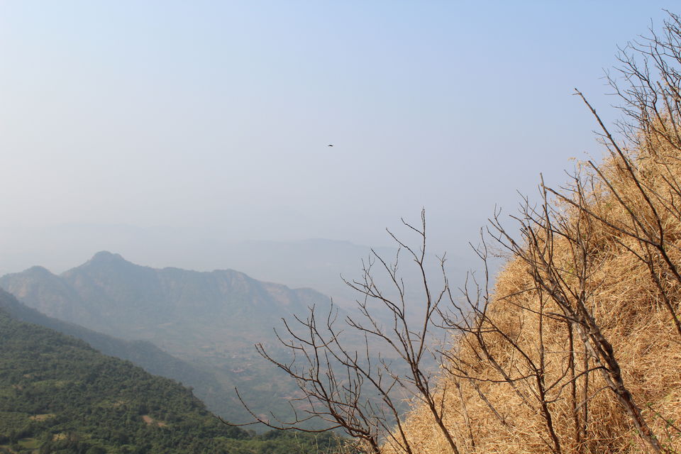 Photo of Night Trek Experience: Kalavantin Durg by Manju Gawde