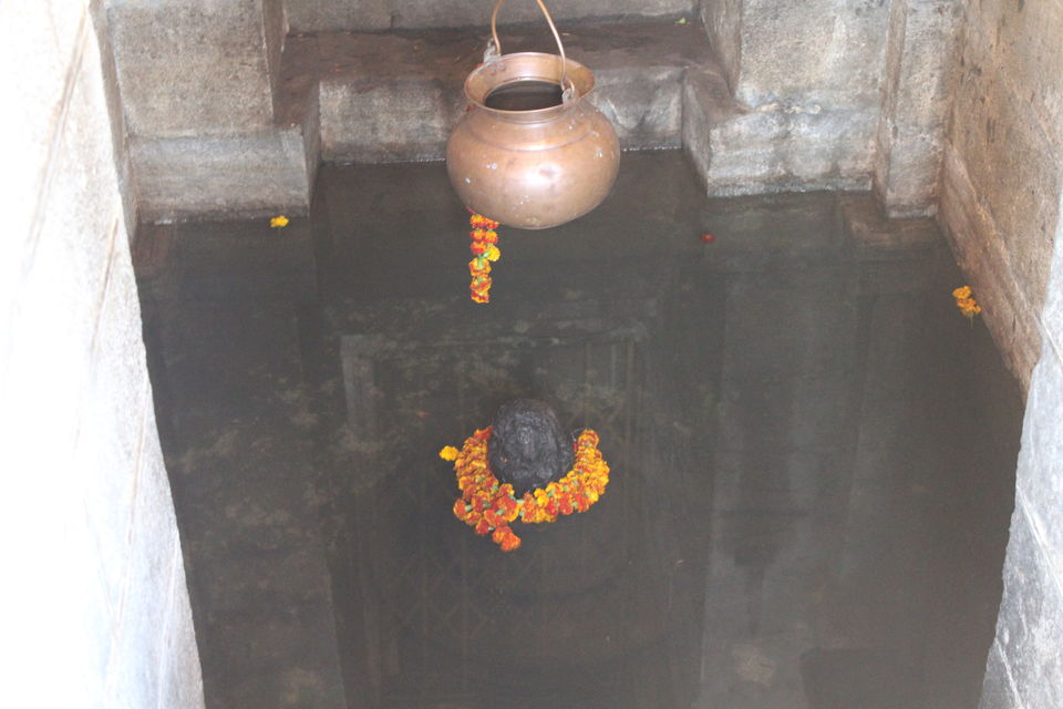 Photo of Amruteshwar Temple:Places Near by Mumbai by Manju Gawde