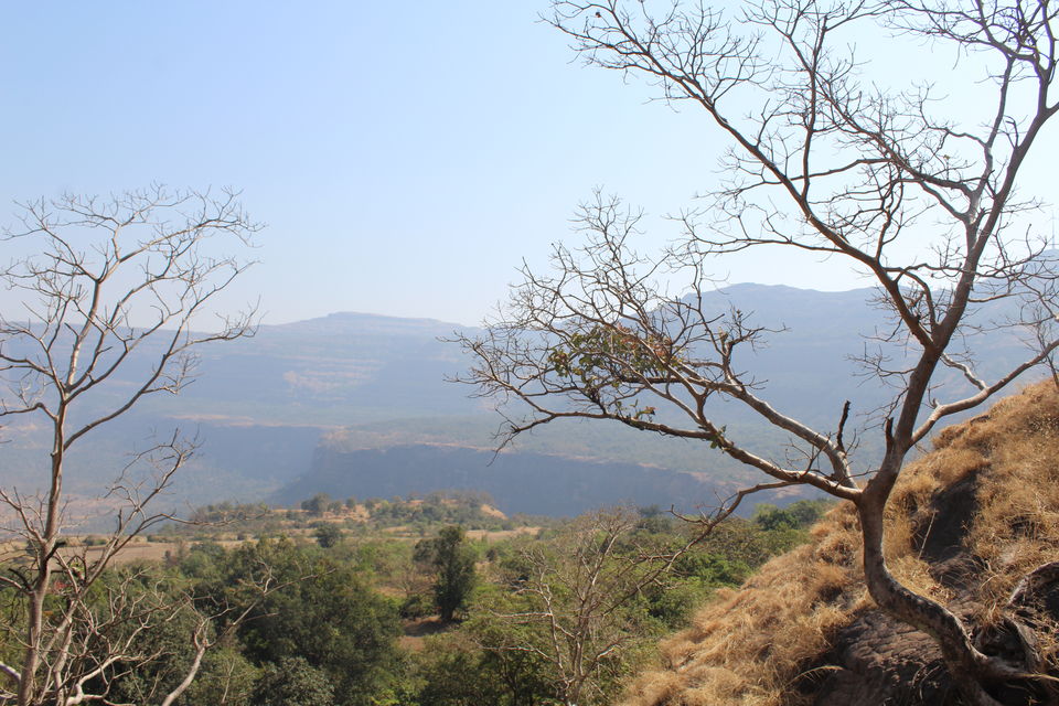 Photo of Peth Fort (Kothaligad Gad) :First Trek of the year by Manju Gawde
