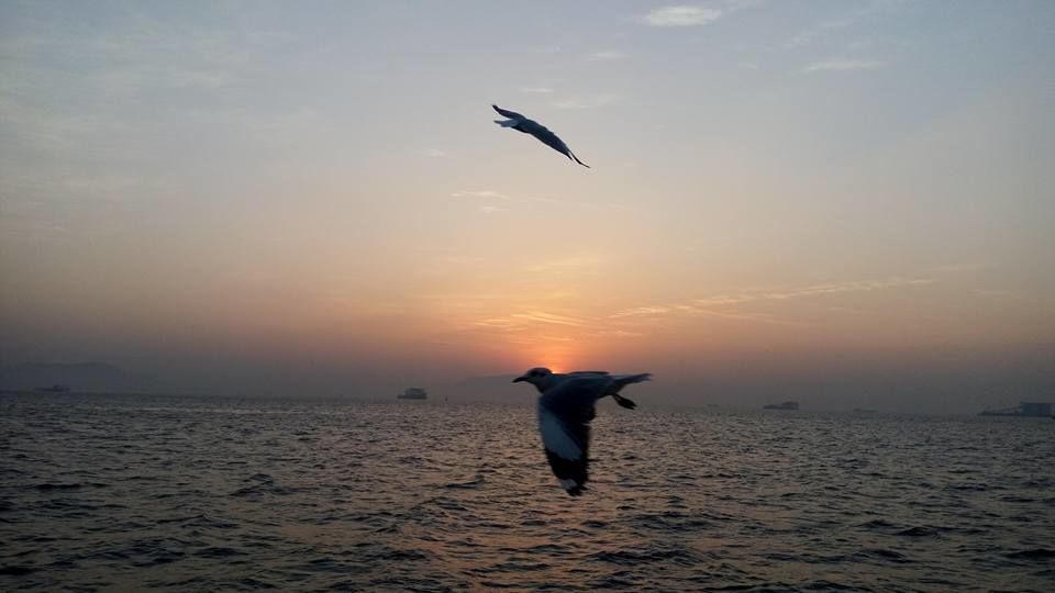Photo of Murud-Janjira Fort, Maharashtra, India by Manju Gawde
