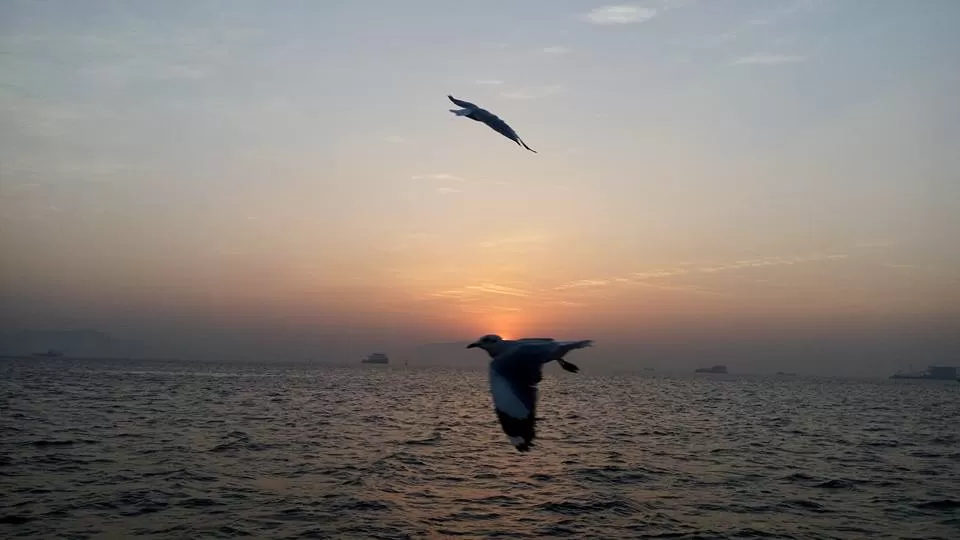 Photo of Murud-Janjira Fort, Maharashtra, India by Manju Gawde