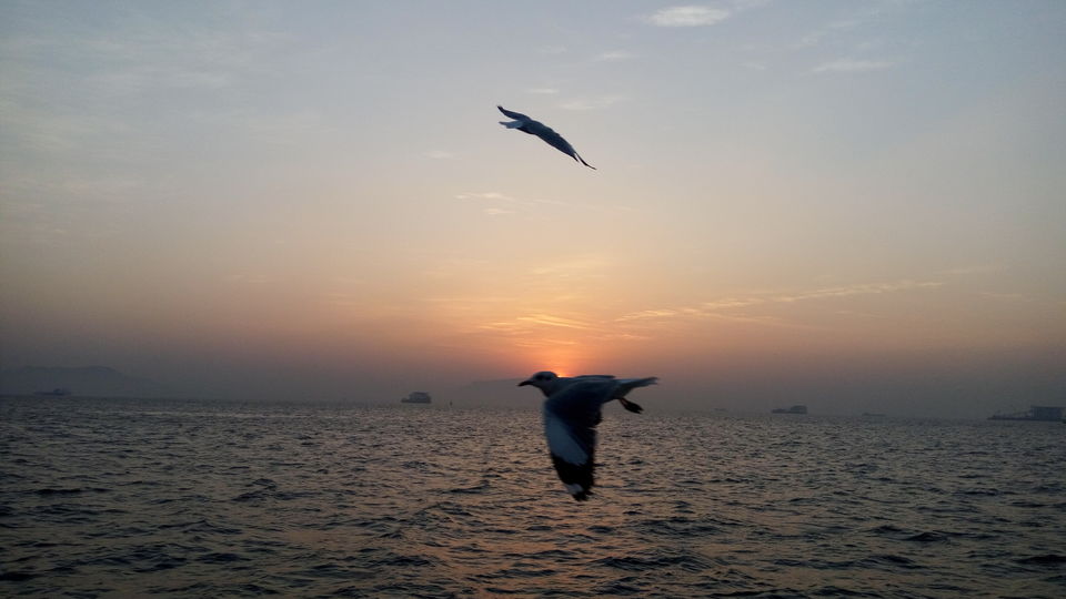 Photo of Invincible Sea Fort:Murud-Janjira Fort by Manju Gawde