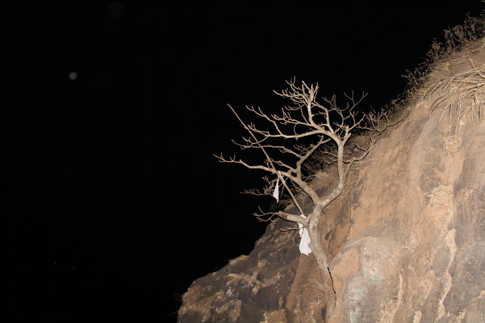 Photo of Night Trekking to Kalasubai Mountain:Maharashtra by Manju Gawde