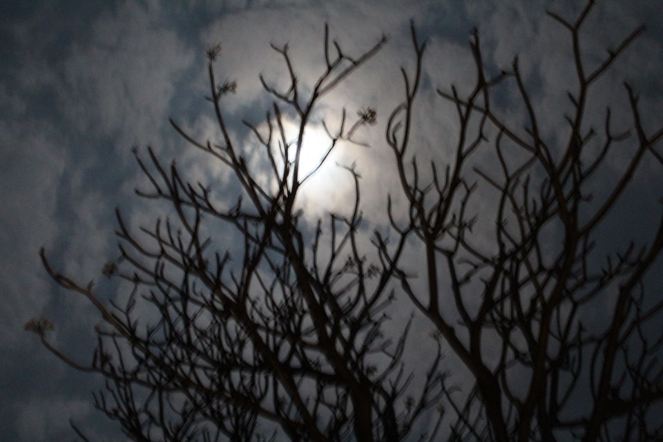 Photo of Night Trekking to Kalasubai Mountain:Maharashtra by Manju Gawde