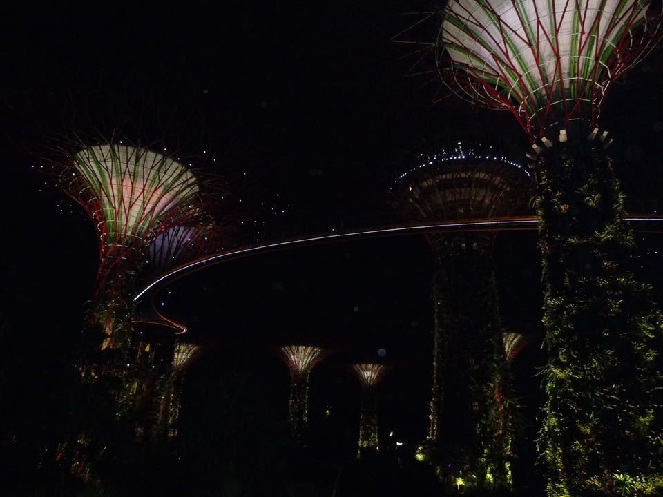 Photo of 10 Things to Do in Singapore 10/12 by Priyanka Nayak