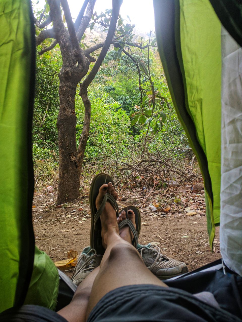 Photo of Hitchhiker's Guide to Sandhan Valley by Offbeat Voyagers