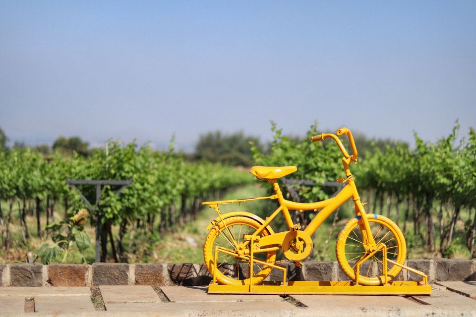 Photo of The Vineyard In Mumbai's Backyard by Offbeat Voyagers