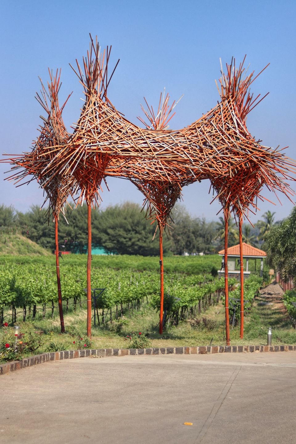 Photo of Sula Vineyards, Nashik, Maharashtra, India by Offbeat Voyagers