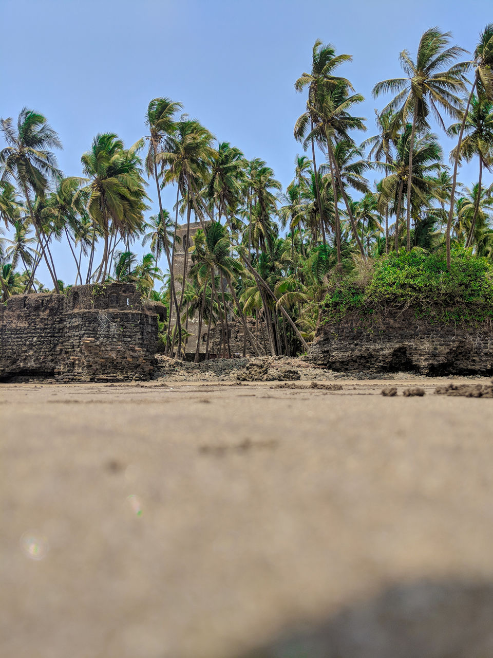 Photo of A Fight Against The Tide - Alibaug by Offbeat Voyagers