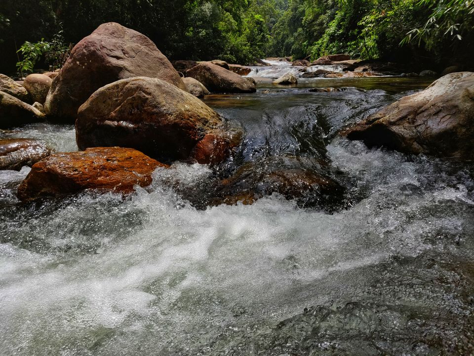 Photo of Ponmudi, Trivandrum's Own Little Hill Station by Nelson
