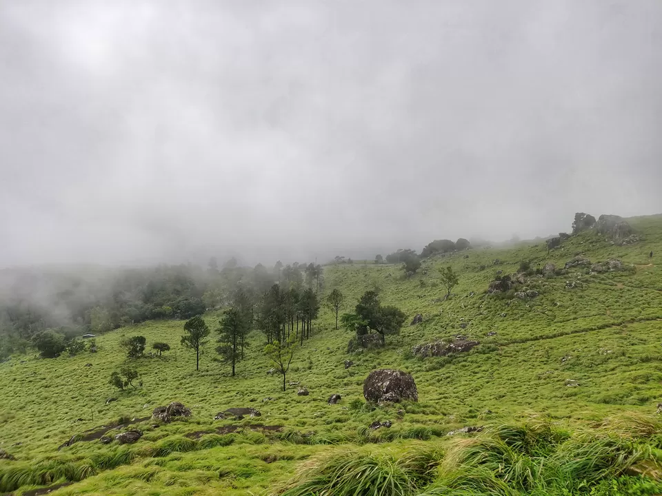 Photo of Ponmudi Hill Station, Ponmudi, Kerala by Offbeat Voyagers