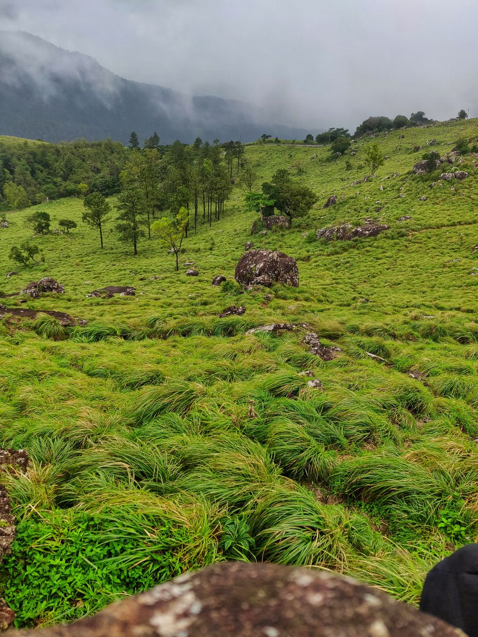 Photo of Ponmudi, Trivandrum's Own Little Hill Station by Nelson