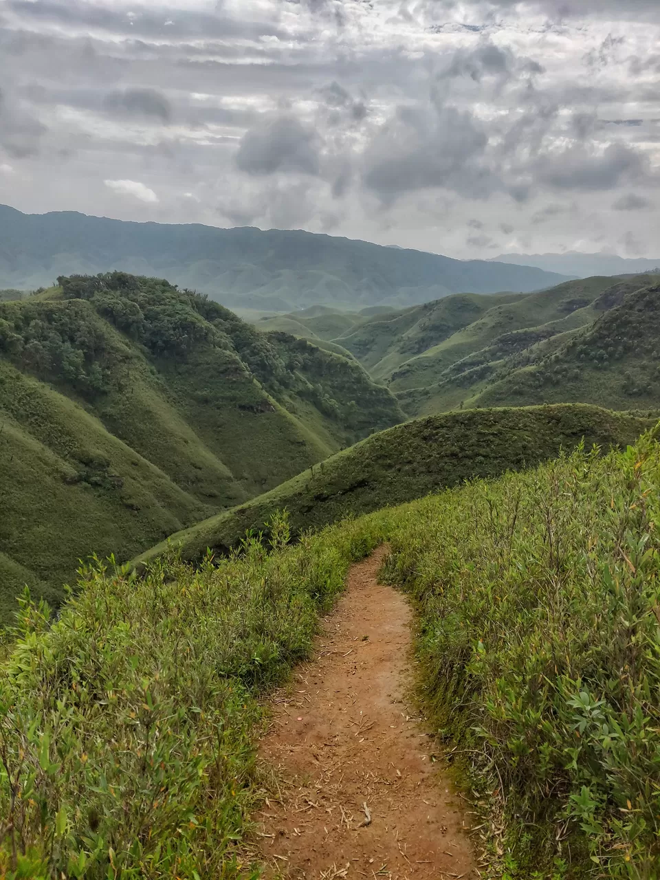 Photo of Dzükou Valley, Viswema, Nagaland, India by Offbeat Voyagers